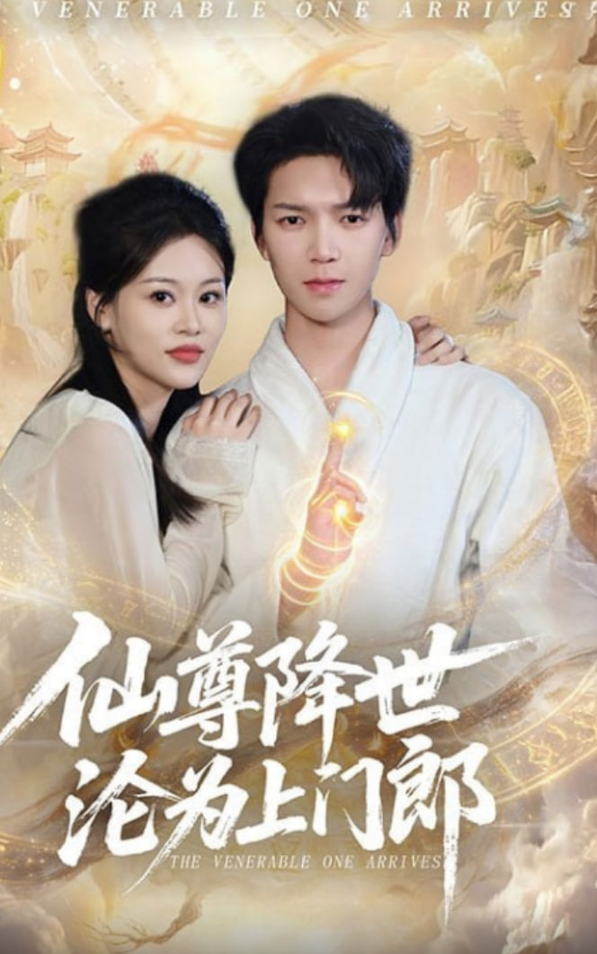 仙尊降世沦为上门郎封面