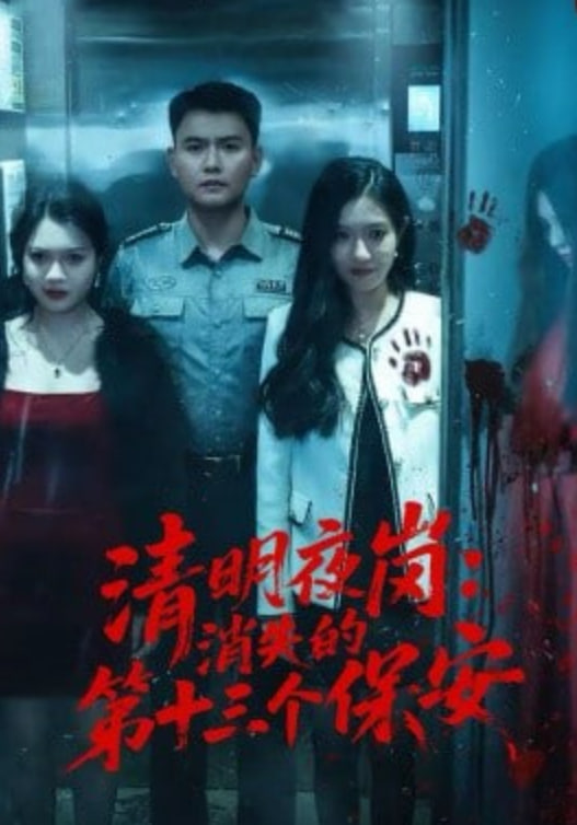 清明夜岗：消失的第十三个保安封面