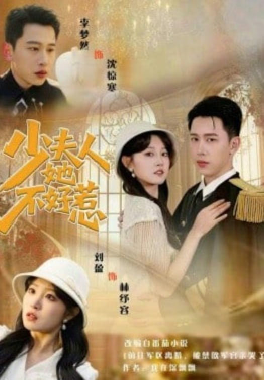 少夫人她不好惹封面
