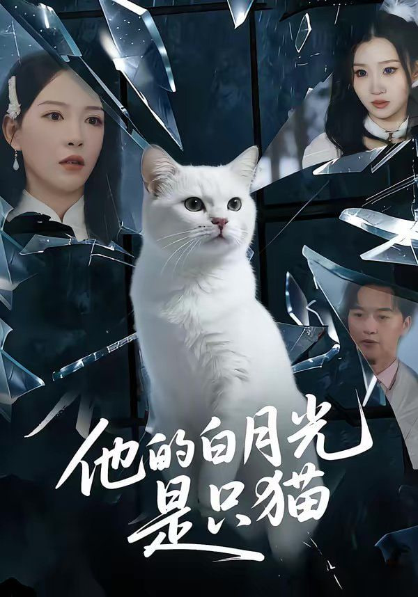 他的白月光是只猫封面