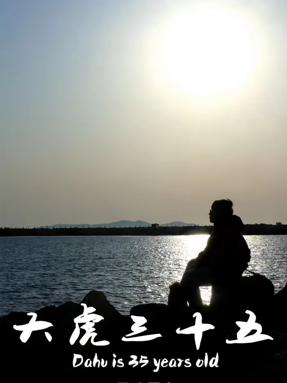 大虎三十五封面