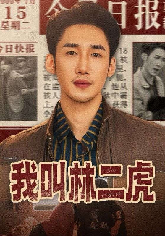 我叫林二虎封面