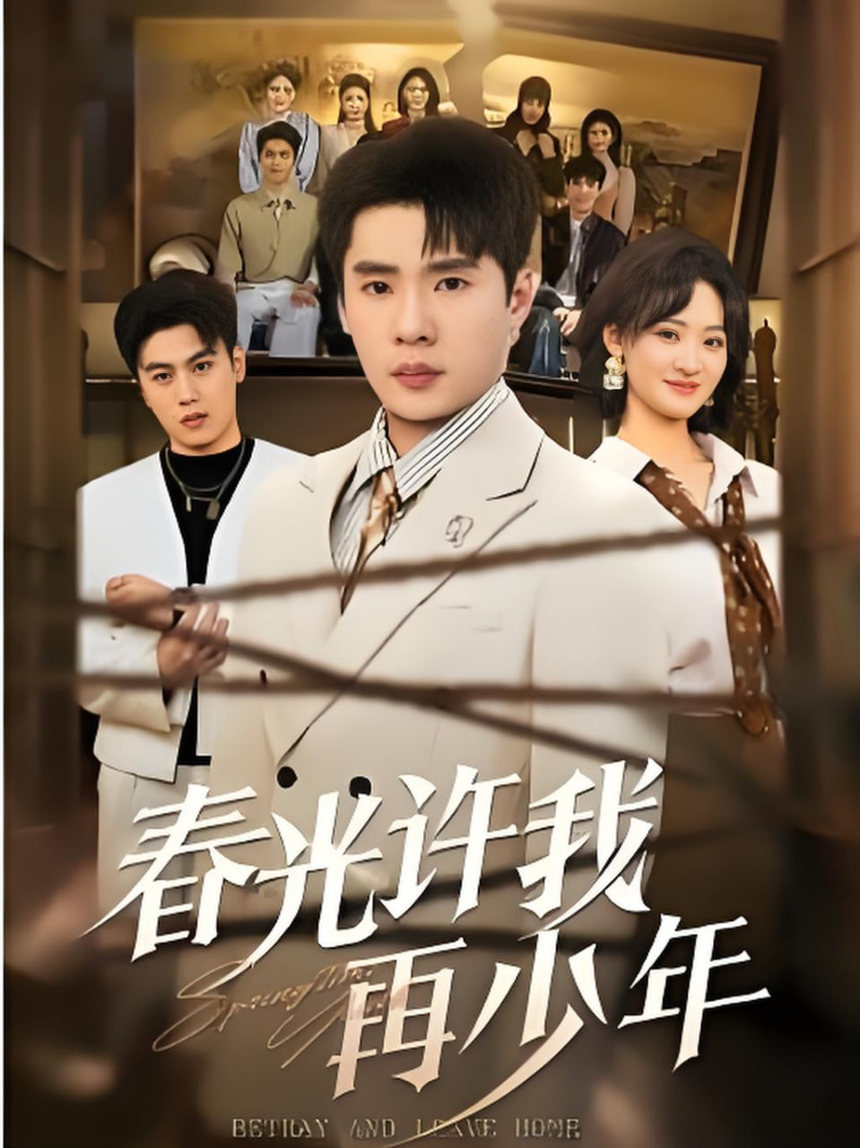 春光许我再少年封面
