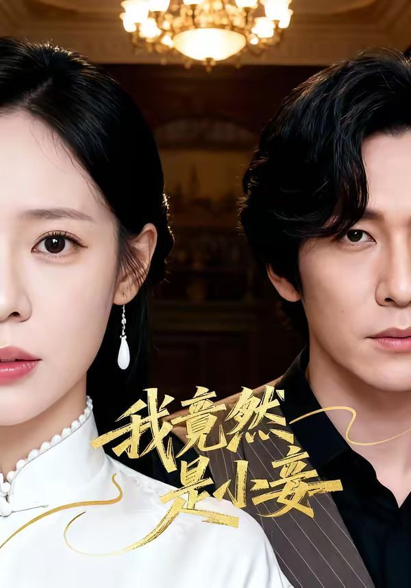 我竟然是小妾封面