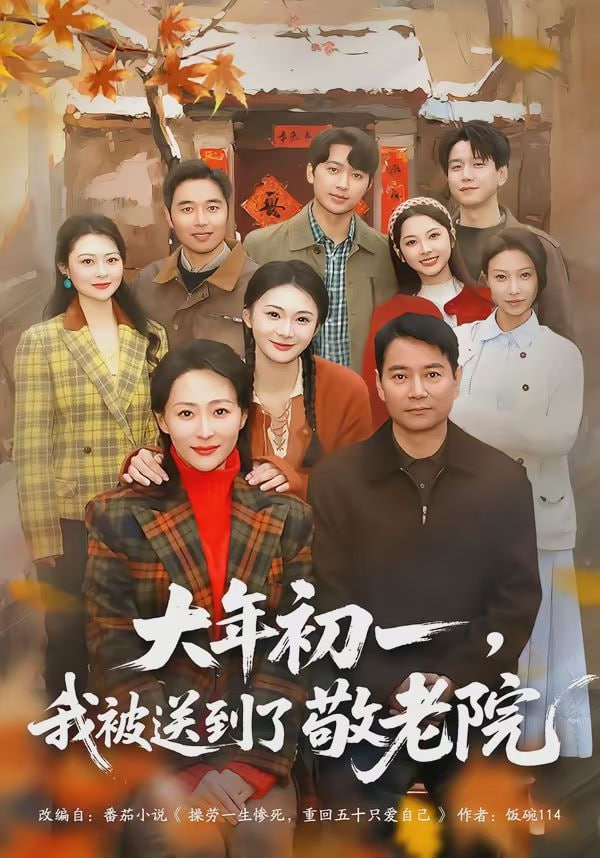 大年初一，我被送到了敬老院封面