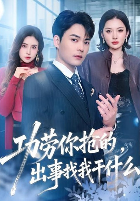 功劳你抢的，出事找我干什么封面