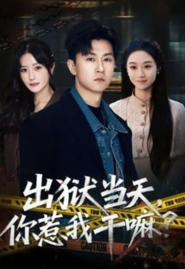 出狱当天，你惹我干嘛？（出狱当天你惹我干嘛）封面