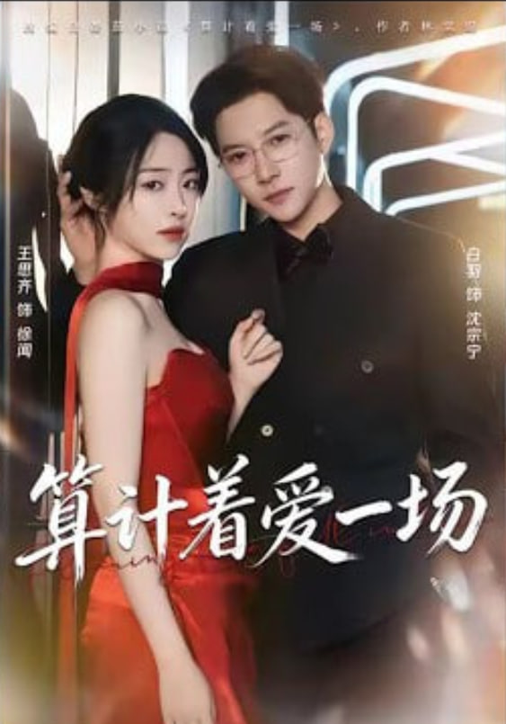 算计着爱一场封面