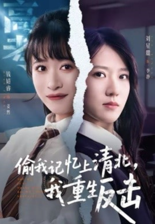 偷我记忆上清北，我重生反击封面