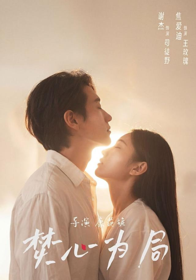焚心为局封面