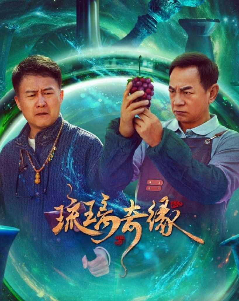 琉璃奇缘封面