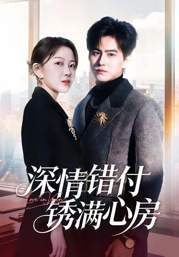 深情错付锈满心房封面