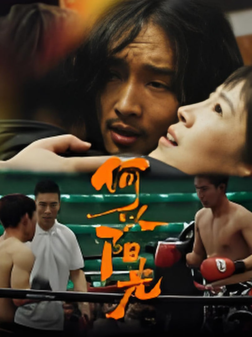 何以阳光封面