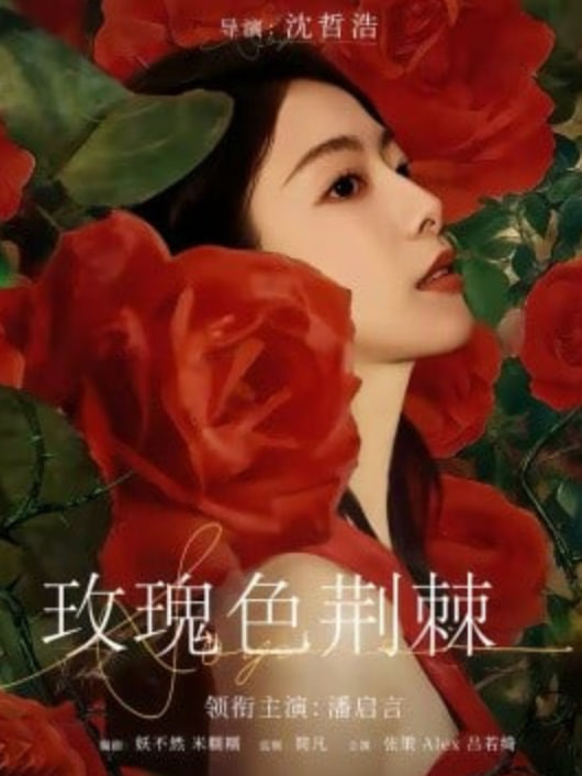 玫瑰色荆棘封面