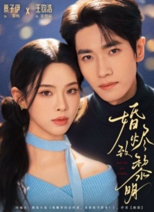 婚烬致黎明封面