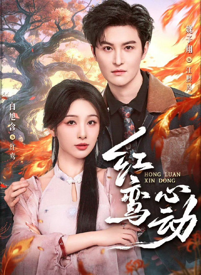 红鸾心动封面
