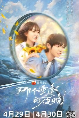 那个重逢的夜晚封面