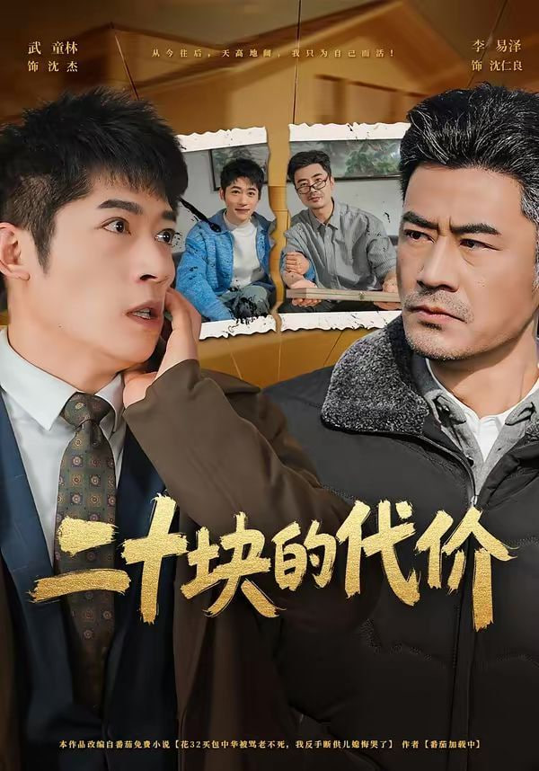 二十块的代价封面