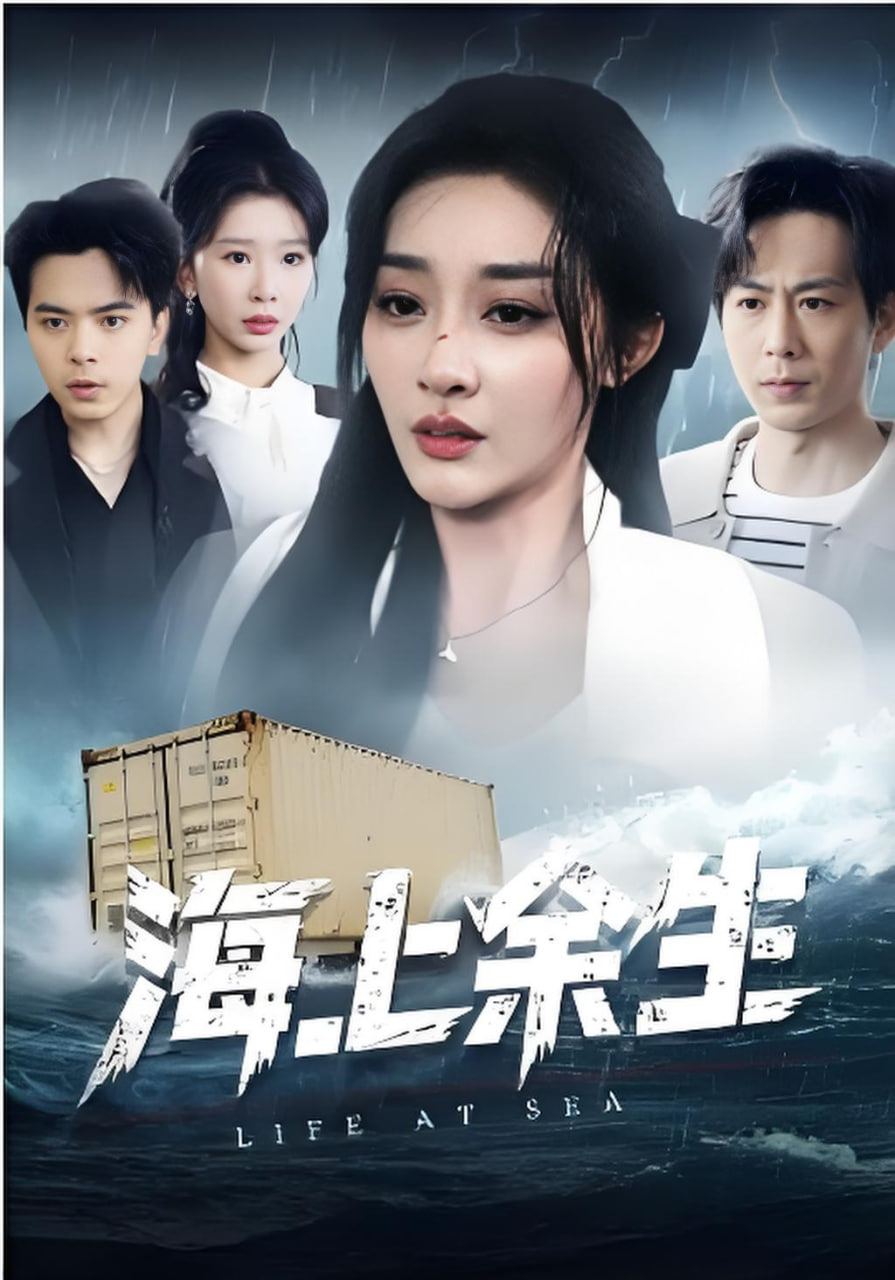 海上余生封面