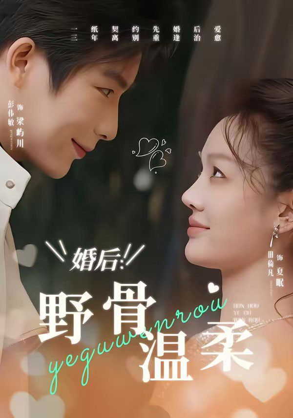 婚后：野骨温柔封面