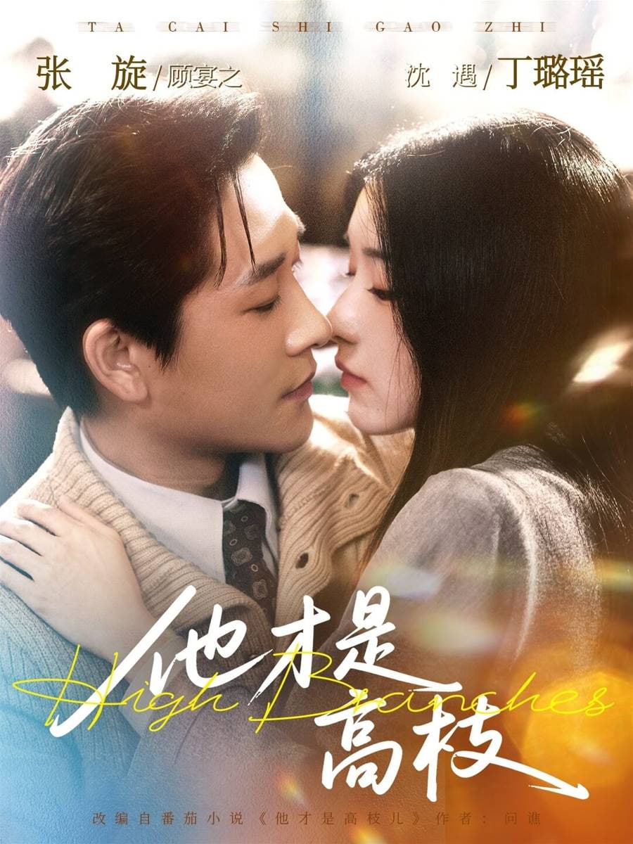 他才是高枝封面