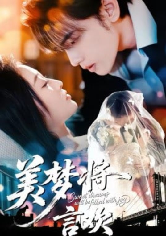 美梦将言欢封面
