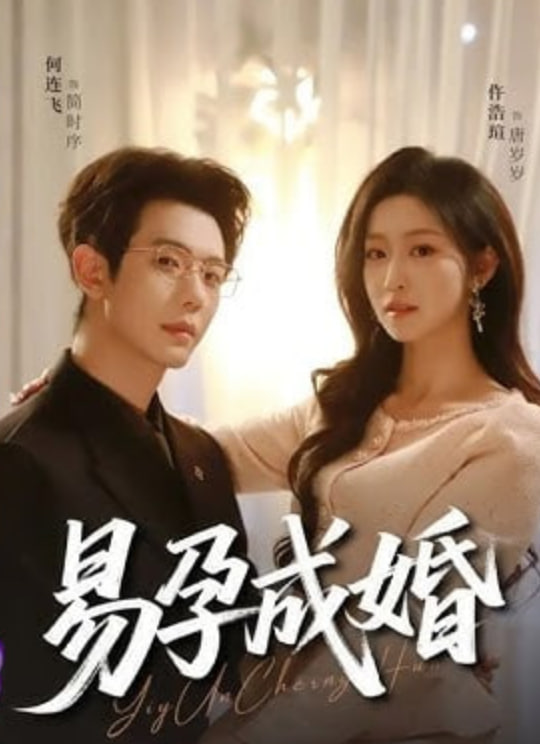 易孕成婚封面