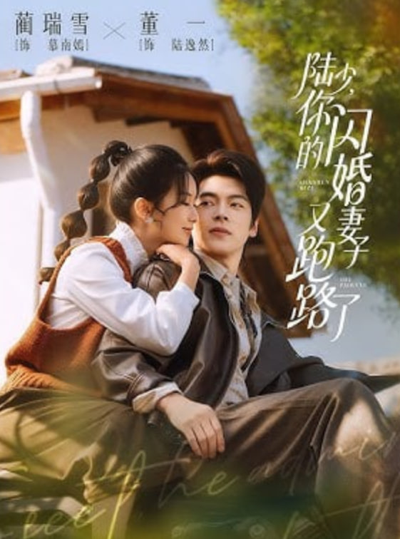 陆少，你的闪婚妻子又跑路了封面