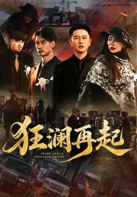 狂澜再起封面