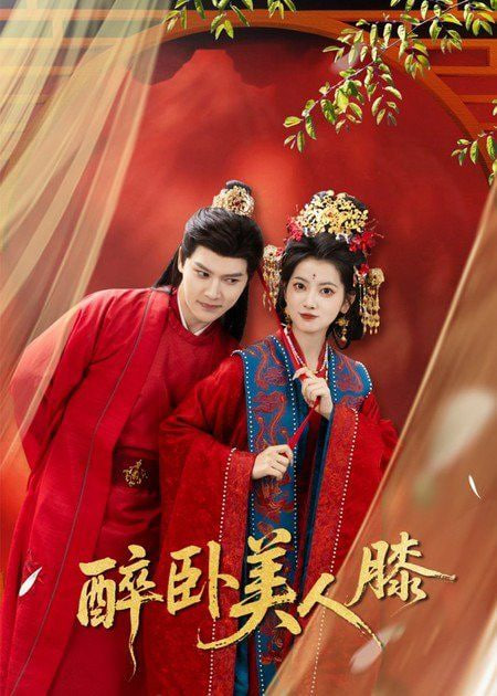 醉卧美人膝封面