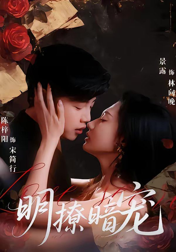 明撩暗宠封面