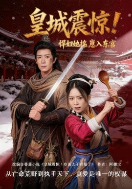 皇城震惊！悍妇她揣崽入东宫封面
