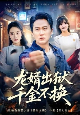 龙婿出狱，千金不换封面