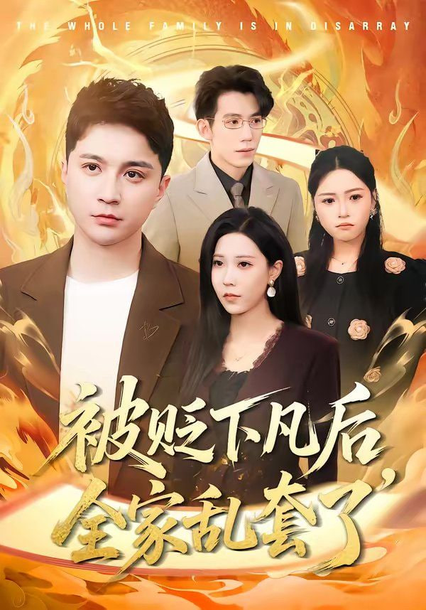 被贬下凡后全家乱套了封面