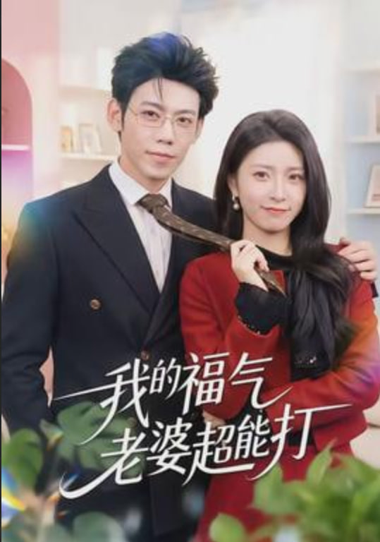 我的福气老婆超能打封面