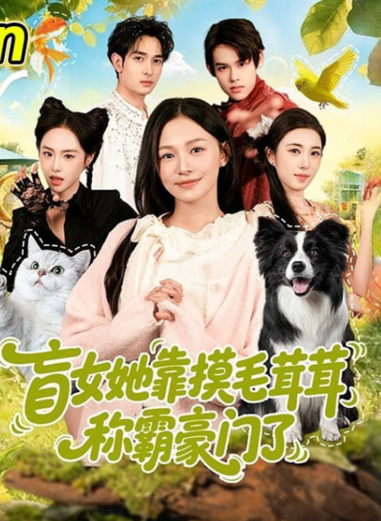 盲女她靠摸毛茸茸称霸豪门了封面