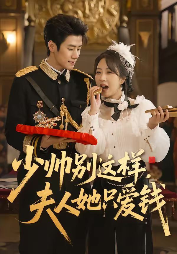 少帅别这样，夫人她只爱钱封面