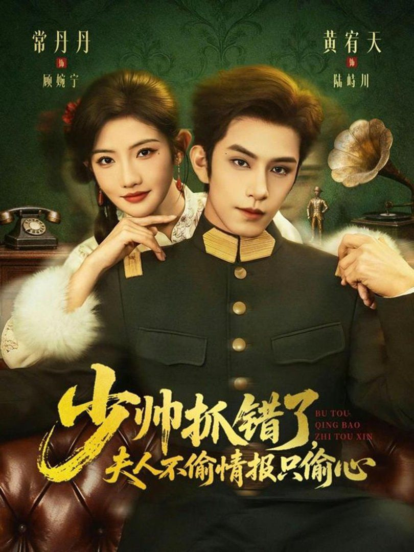 少帅抓错了，夫人不偷情报只偷心封面
