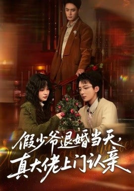假少爷退婚当天，真大佬上门认亲封面
