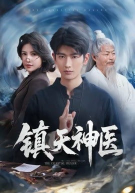 镇天神医封面