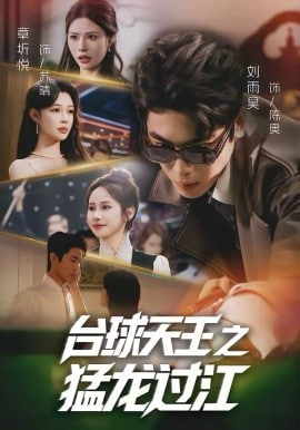 台球天王之猛龙过江封面