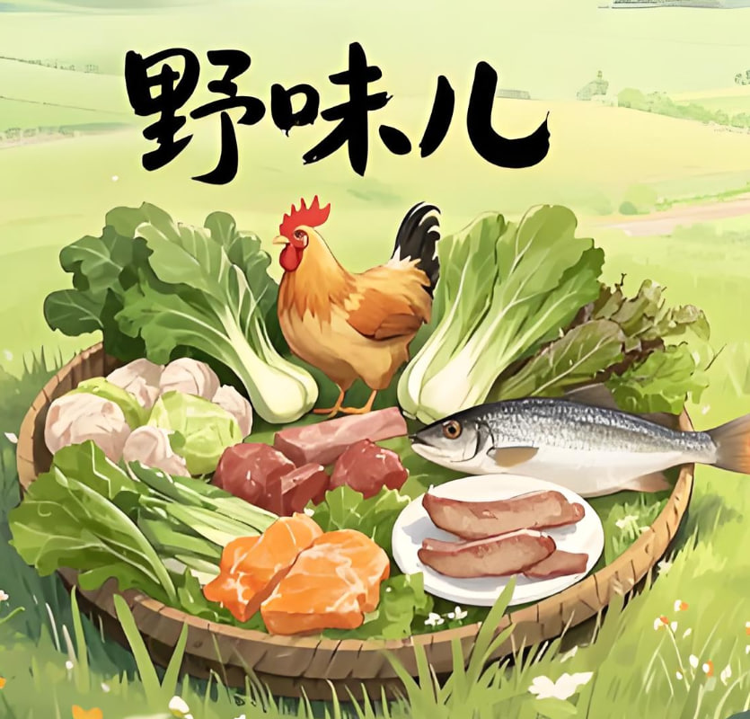 野味儿封面