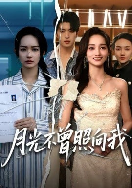 月光不曾照向我封面