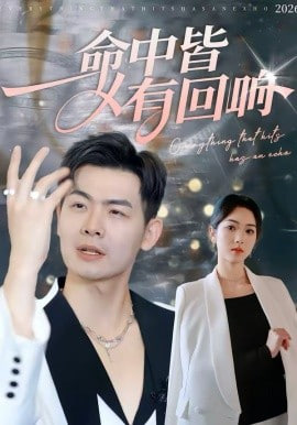 命中皆有回响封面