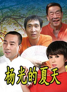 杨光的夏天封面