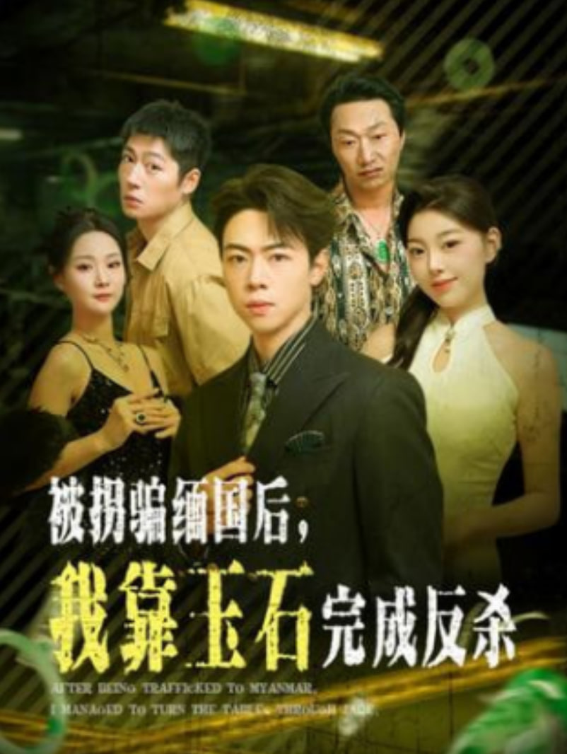 被拐骗缅国后，我靠玉石完成反杀封面
