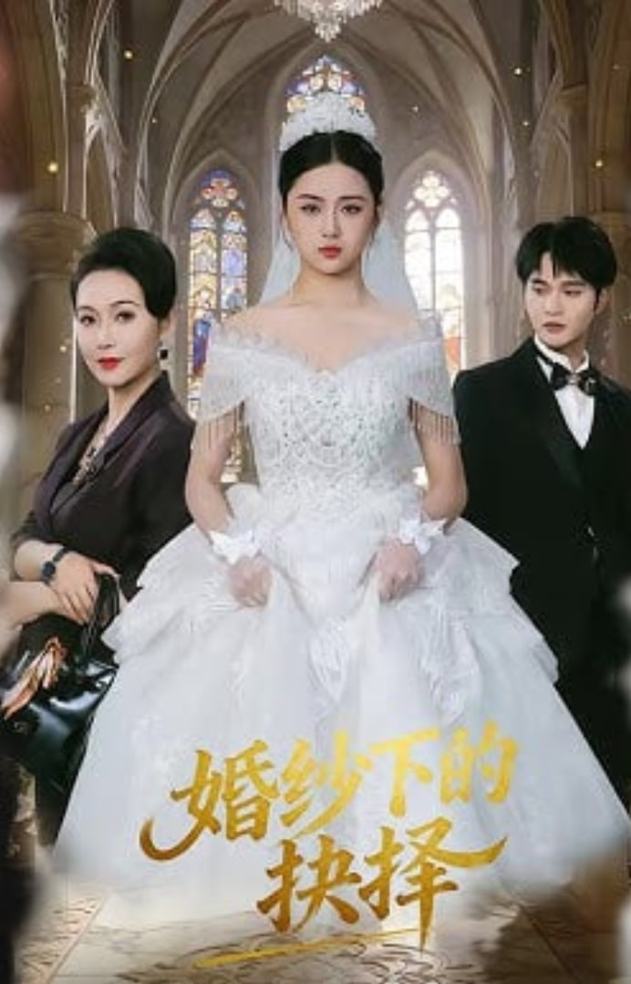 婚纱下的抉择封面