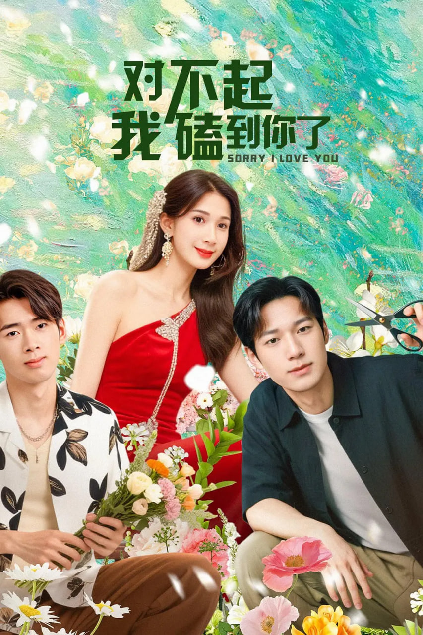对不起，我磕到你了封面