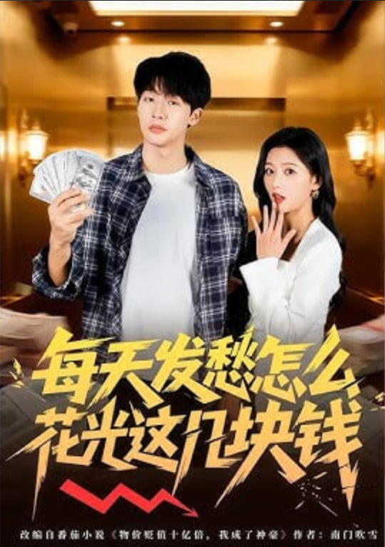 每天发愁怎么花光这几块钱封面