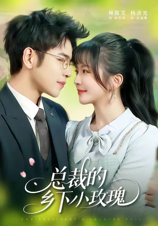总裁的乡下小玫瑰封面